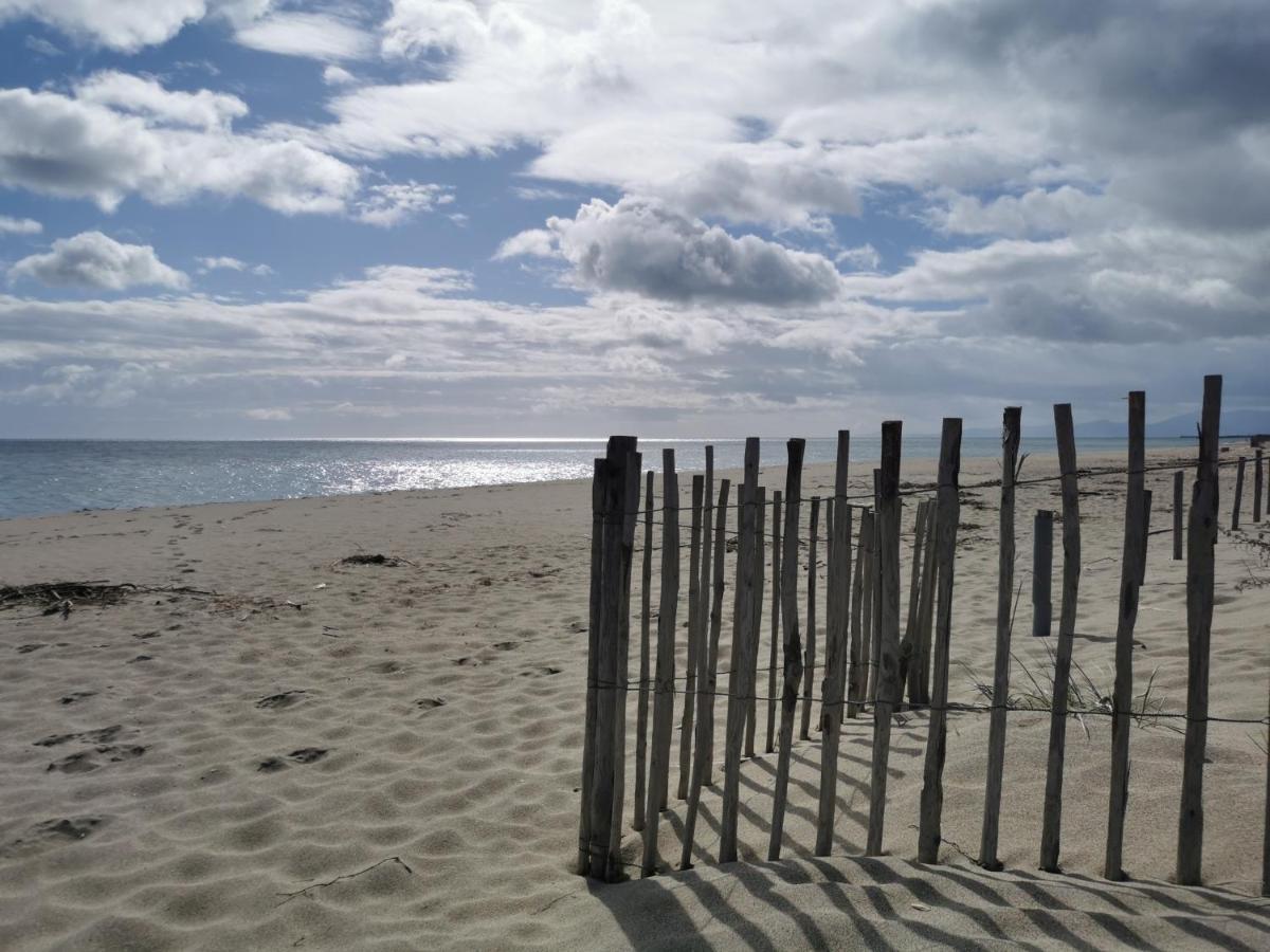 Les Marines III - Tout Confort - Tout Equipe - En Bord De Mer - Avec Jardin - Proche Commerces Et Animations Apartman Le Barcarès Kültér fotó